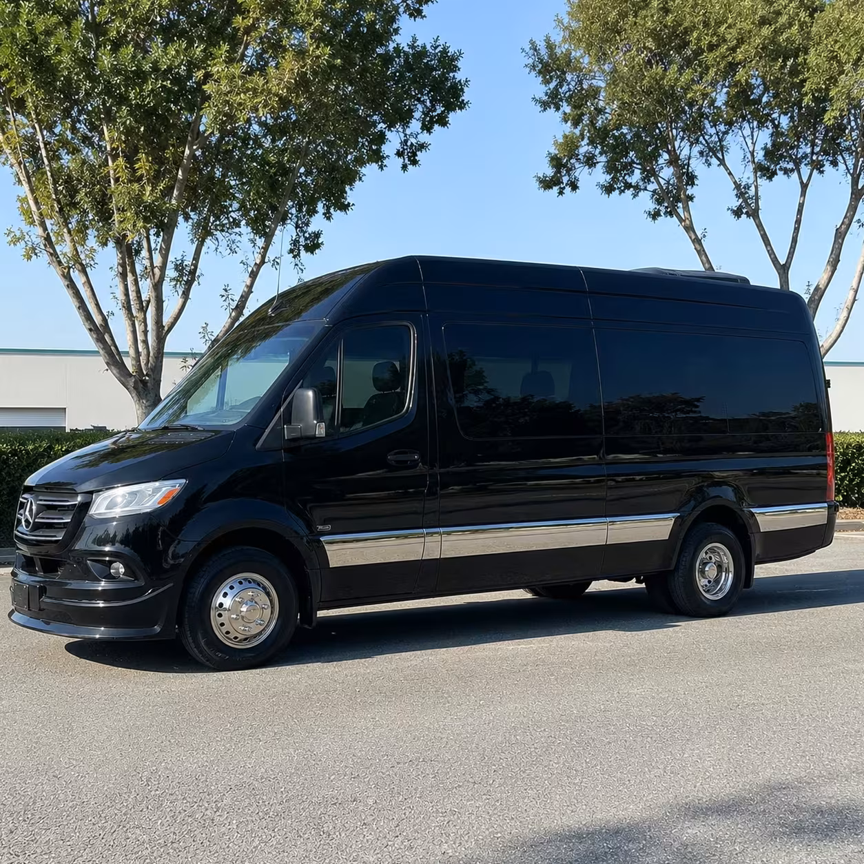 sprinter van with driver